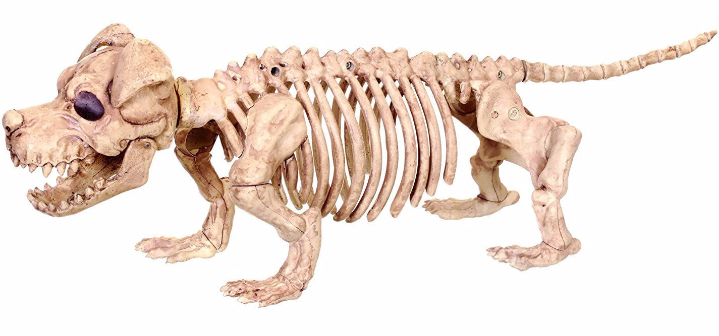 Bruiser Skeleton Dog