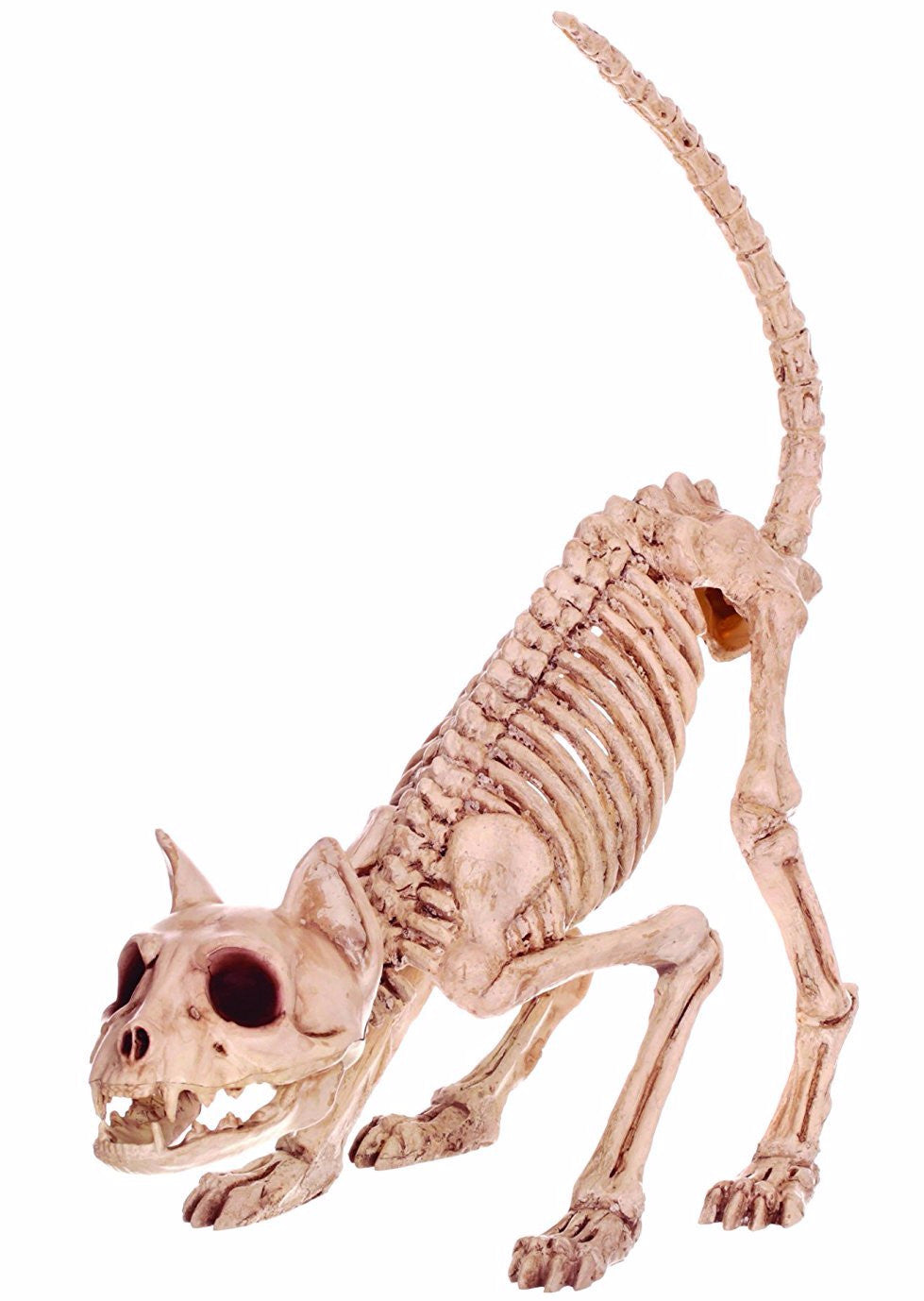 Ready to Pounce Cat Skeleton