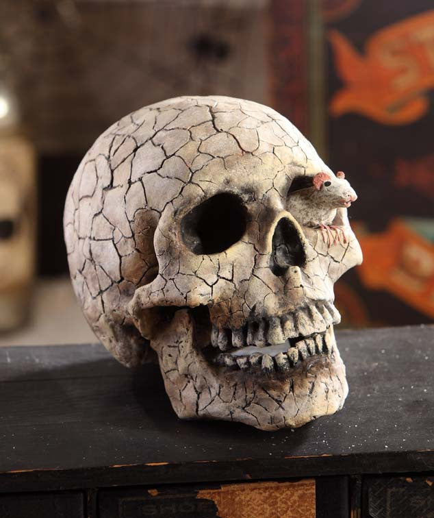 Skull & Mouse