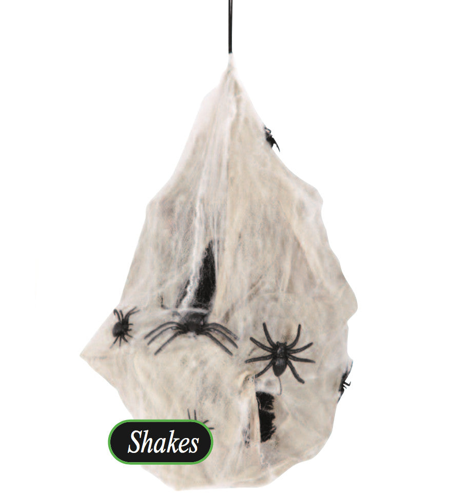 Shaking Spider Larva Sac