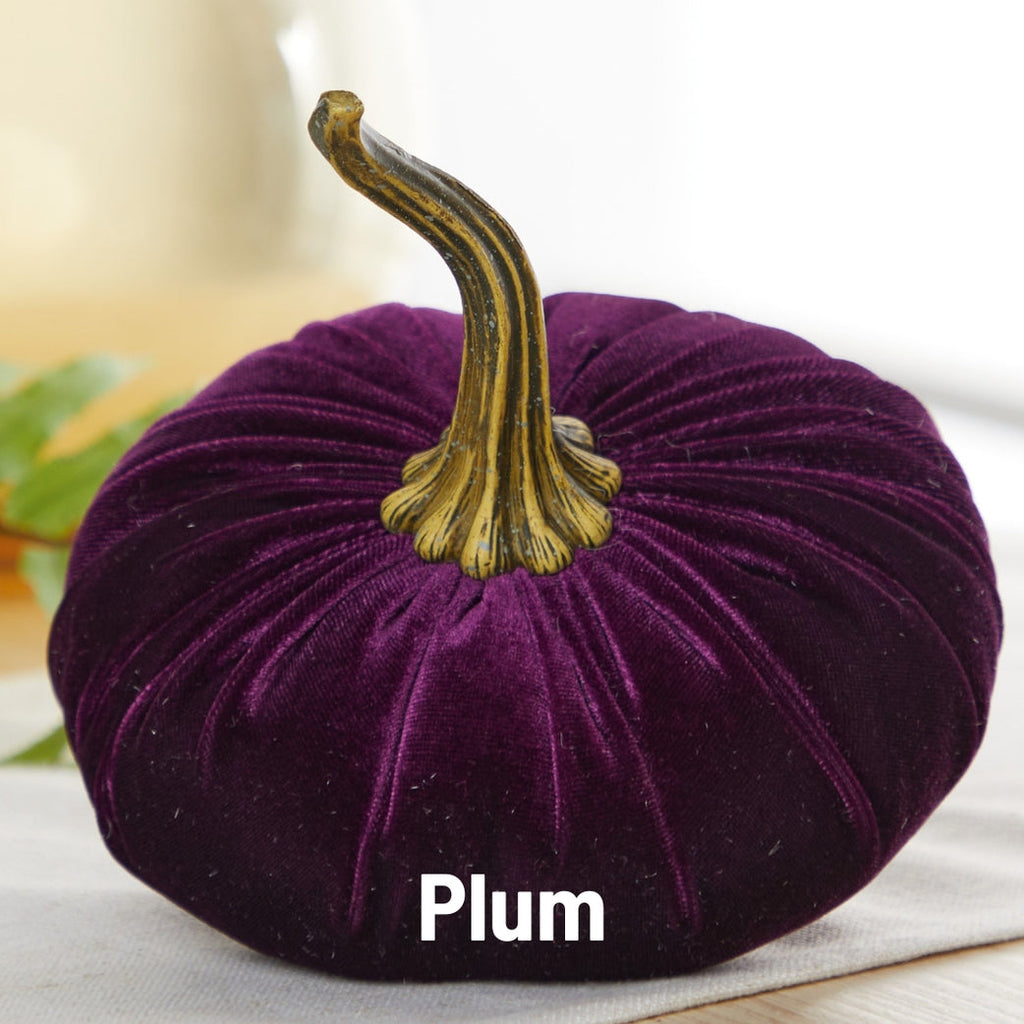 "Velvet Pumpkin, Plum Purple"
