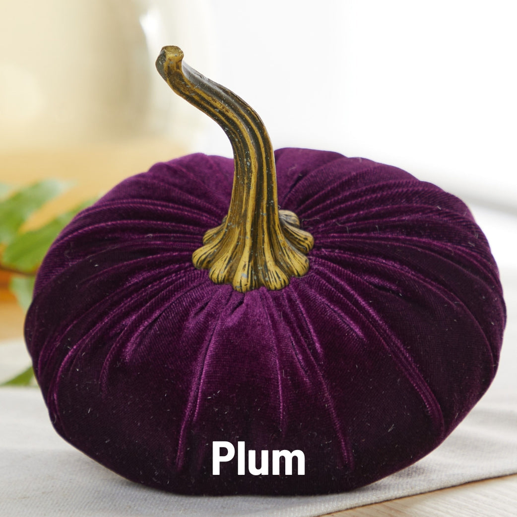 "Velvet Pumpkin, Plum Purple"