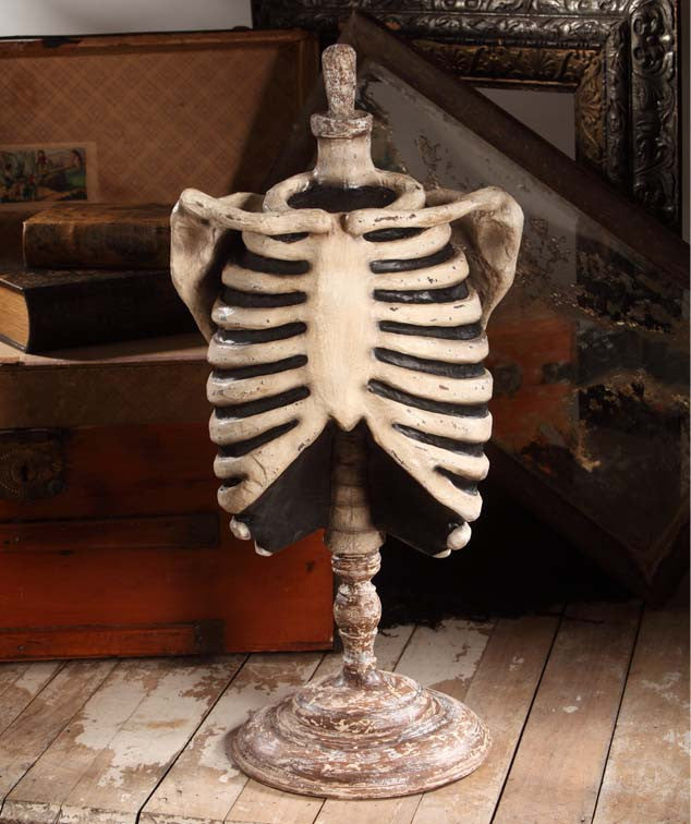 Vintage Skeleton Mannequin